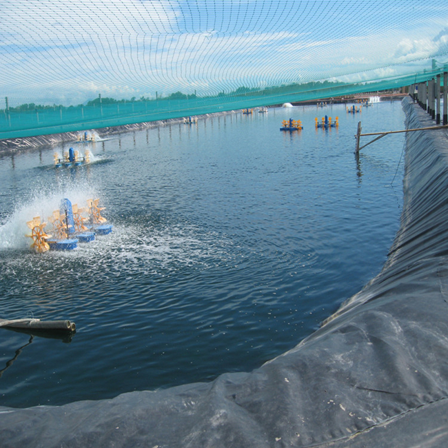geomembrane liner1.jpg